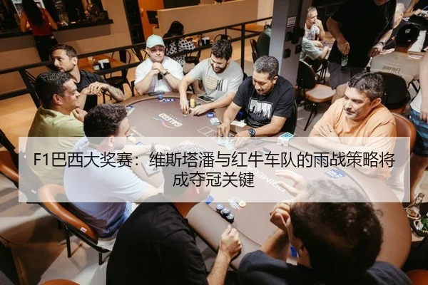 F1巴西大奖赛：维斯塔潘与红牛车队的雨战策略将成夺冠关键