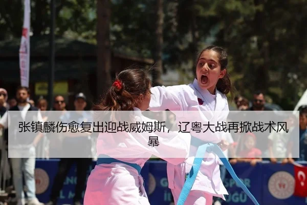 zhang-zhen-lin-shang-yu-fu-chu-ying-zhan-wei-mu-si-liao-yue-da-zhan-zai-xian-zhan-shu-feng-bao-2-300.jpg